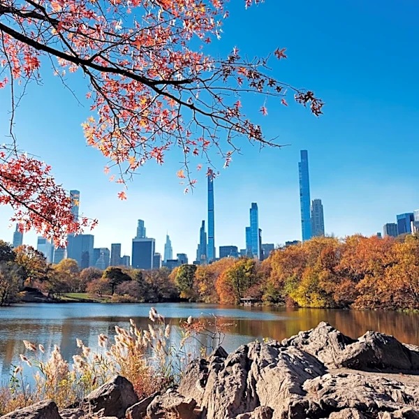 Old Farmer’s Almanac Predicts Cooler Fall for New York