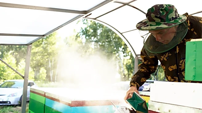 How to Stay Safe and Enjoy Summer Heat