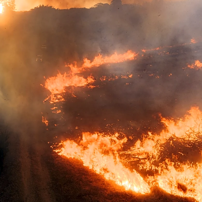 Global Wildfires Burn Over 112 Million Hectares in 2026