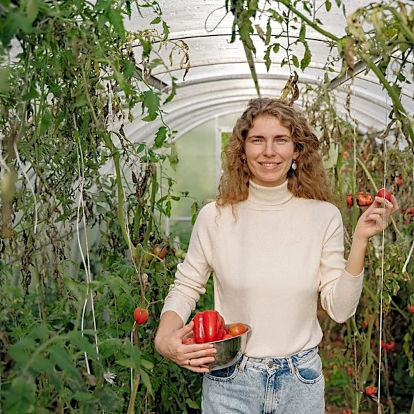 High Temperatures Impact Tomato and Pepper Flowering in 2026