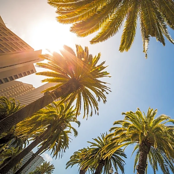 El Niño Forecast Expected to Reach Historic Strength This Fall