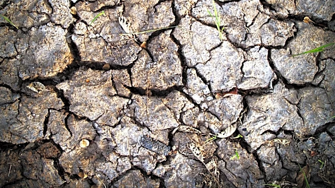 Colorado Records Hottest 4-Day Period Amid Severe Drought