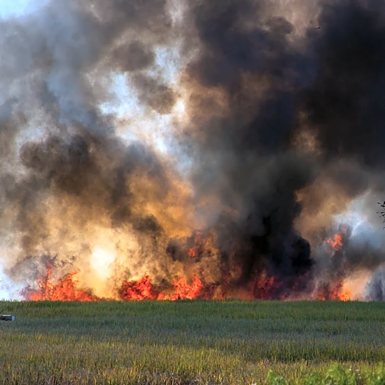 Arkansas Department of Agriculture Warns of Increased Wildfire Risk