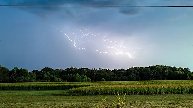 Severe Storms Cause Power Outages and Damage in Bloomington-Normal, IL