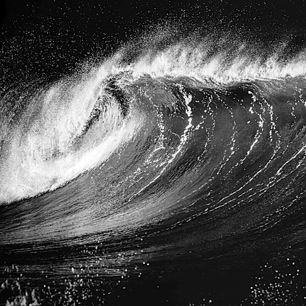 Study Warns of 20-Foot Tsunami Waves from Alaska Earthquake