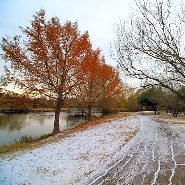 Strong El Niño Could Reshape South Texas Winter Weather