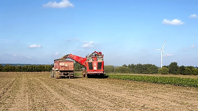 American Crystal Sugar Begins 2026 Pre-Pile Harvest Amid Dry Conditions