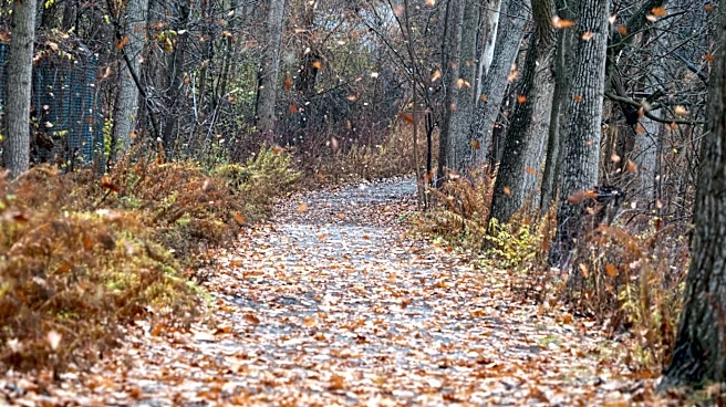 Old Farmer's Almanac Predicts Varied Fall Weather Across the U.S. in 2026
