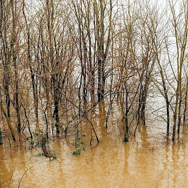 Flood Relief Efforts Underway in Zanesville, Ohio