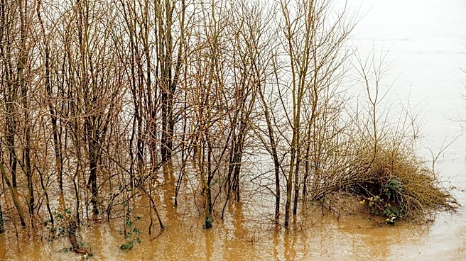Flood Relief Efforts Underway in Zanesville, Ohio