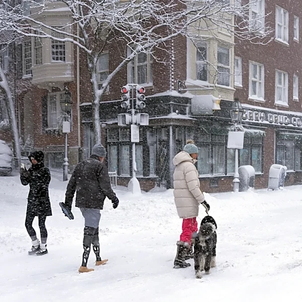 El Niño Could Reshape Winter Weather with Polar Vortex Influence