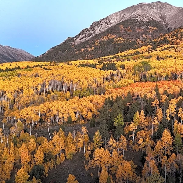 Aspen Acres Fire Tests Colorado's New Insurance Reforms