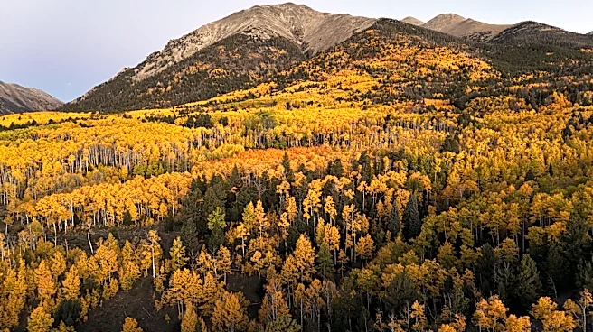 Aspen Acres Fire Tests Colorado's New Insurance Reforms