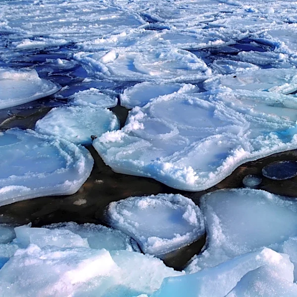 Understanding 'Snow-Eater' Heat Waves and Their Impact on Snowpack