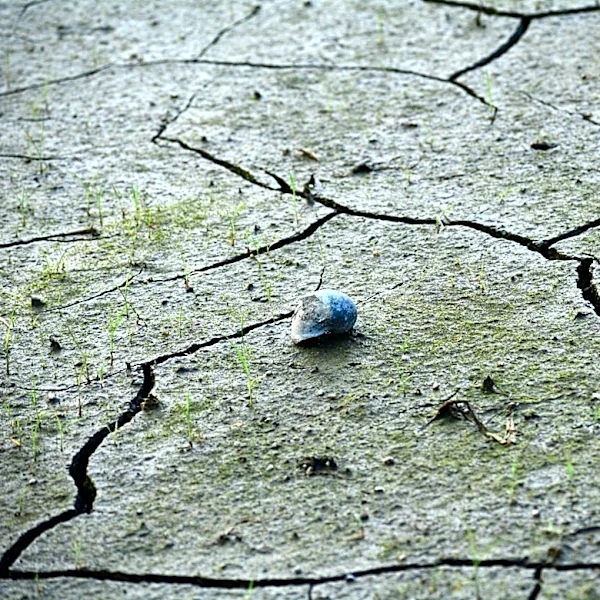 How Rain Can Help Alleviate Drought Conditions