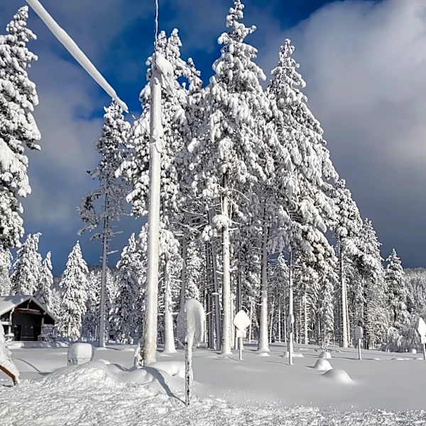 Super El Niño Forecast Predicts Record-Breaking Snowfall in California