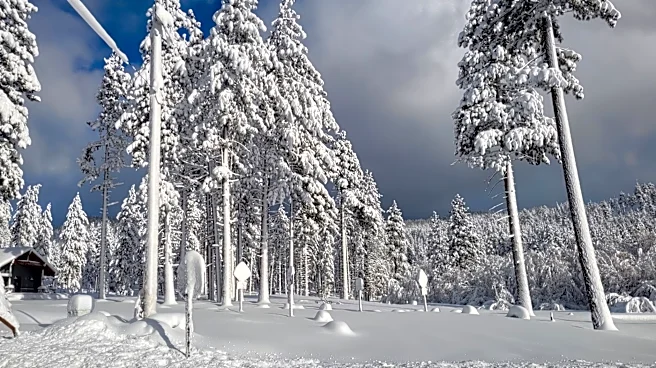 Super El Niño Forecast Predicts Record-Breaking Snowfall in California