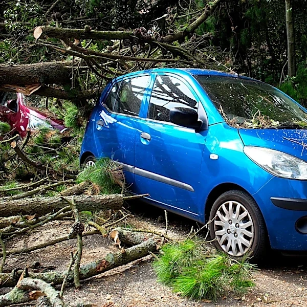 Hawai‘i Residents Urged to Expedite Insurance Claims After Storms