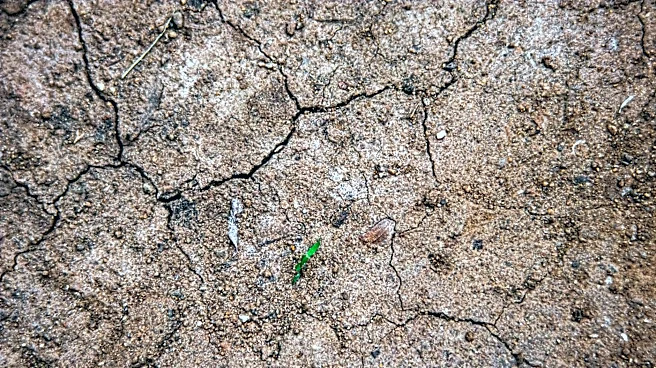 Delaware Faces Persistent Drought Challenges