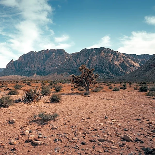 Extreme Heat Watch Issued for Las Vegas Valley Following Monsoon Rains