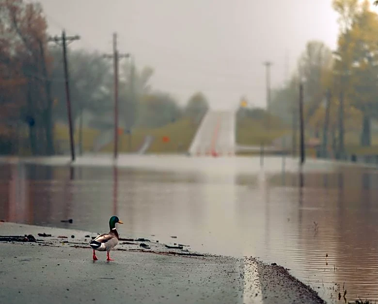 Millions Face Renewed Flood Threat Across the East