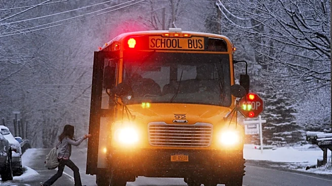 Storm Damage Causes School Delays and Power Outages in Northwest Indiana