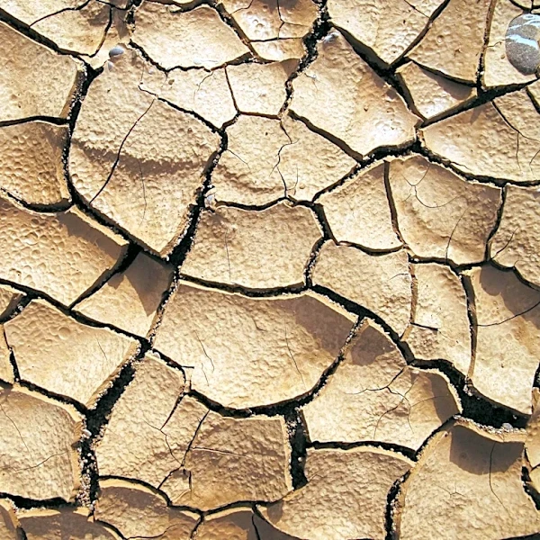 Kittery Implements Water Restrictions Amid Severe Drought