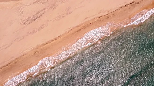 El Niño and Saharan Dust Suppress Atlantic Hurricane Season