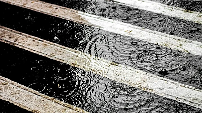 Pittsburgh Experiences Wettest First Half of August on Record