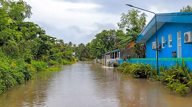 Tropical Storm Lala Brings Heavy Rain, Flooding to Hawaii