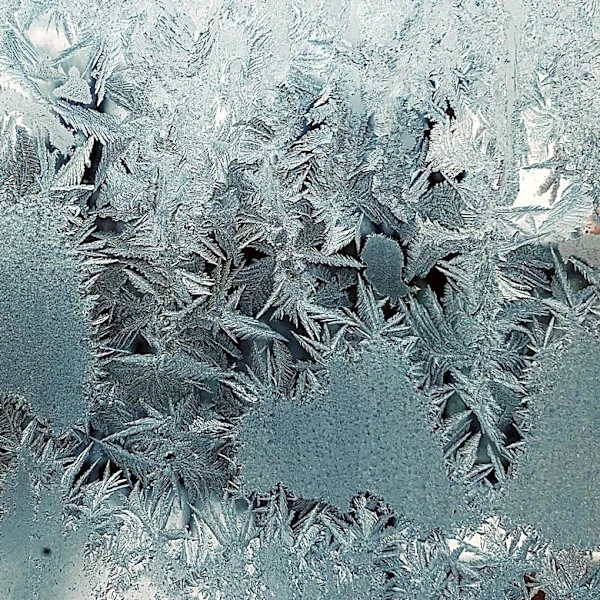 Understanding El Niño: How It Shapes Winter Weather
