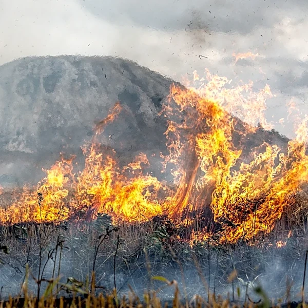 El Niño Drives Wildfires and Raises Concerns for 2026 Hurricane Season