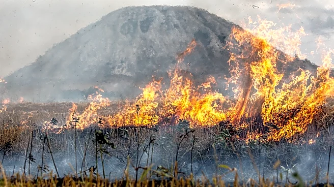 El Niño Drives Wildfires and Raises Concerns for 2026 Hurricane Season