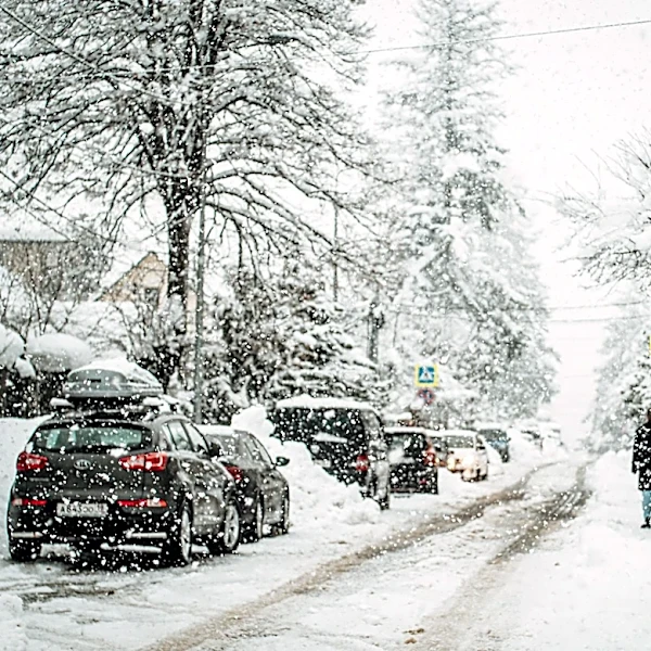 Super El Niño Expected to Disrupt US Winter Weather Patterns