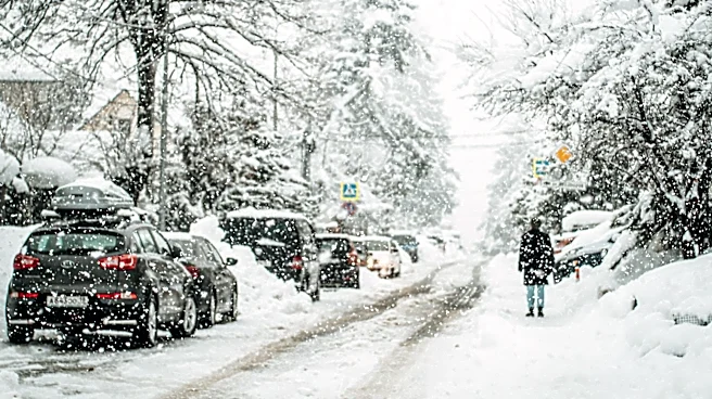 Super El Niño Expected to Disrupt US Winter Weather Patterns