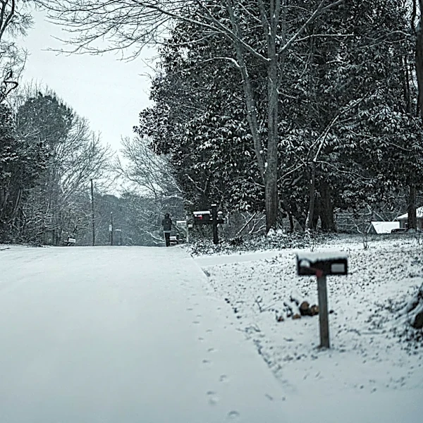 Georgia Winter Forecast: Polar Vortex and El Niño to Shape Season