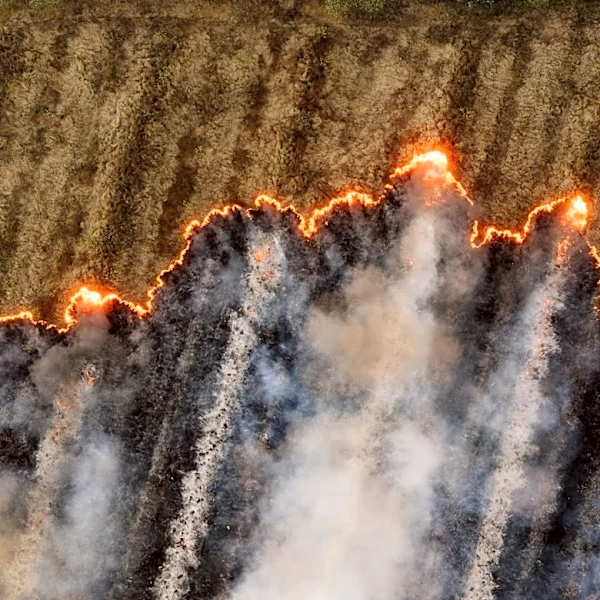 US Faces Severe Wildfire Season Amid Policy Changes
