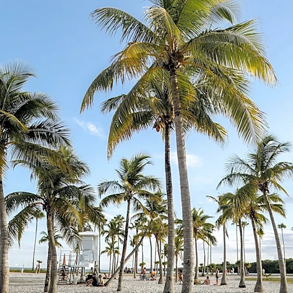 Florida Cities Break Heat Records Amid Soaring Temperatures