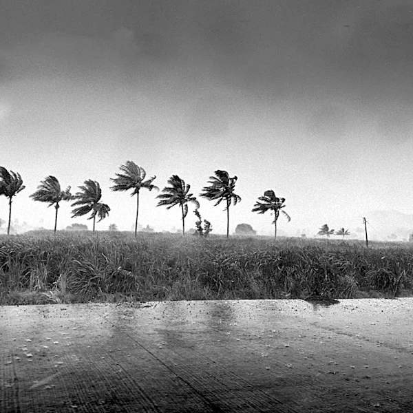 Tropical Depression Two-C Forms Southeast of Hawaii, Heavy Rain Expected