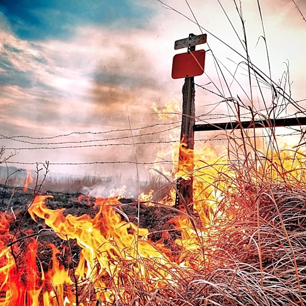 Galveston County Implements Burn Ban Amid Drought Conditions