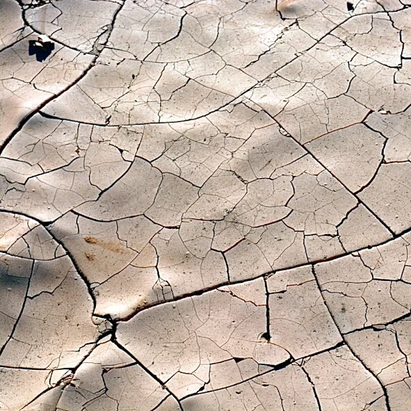 Extreme Drought Persists in South Florida Despite Summer Rainfall