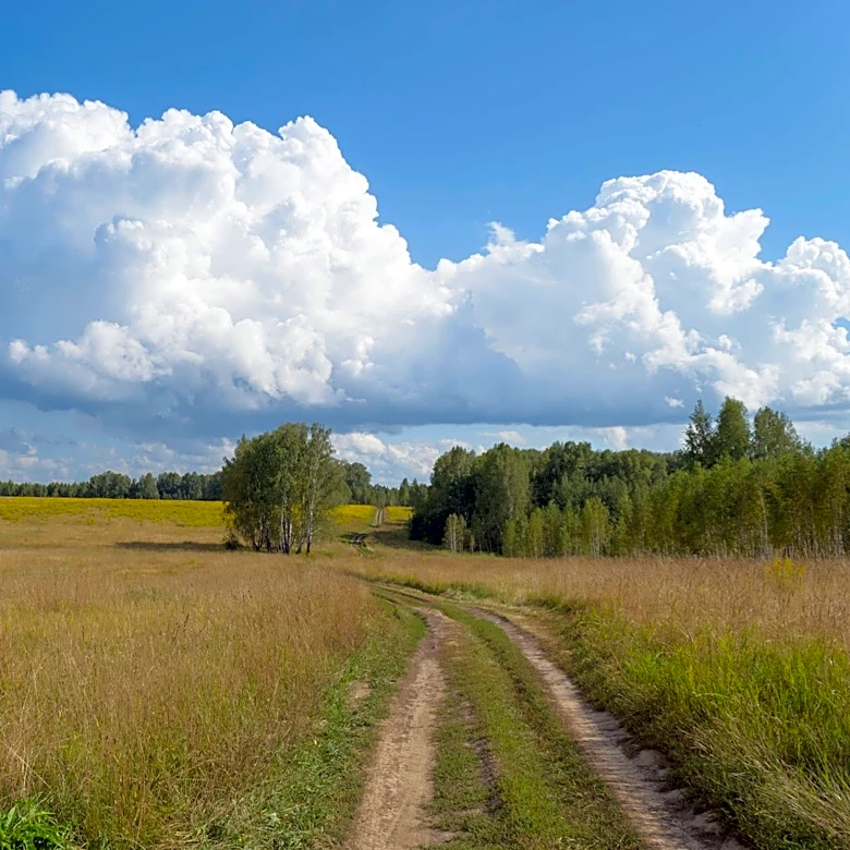 America's 'Sickest Day' Linked to Late August Weather Patterns