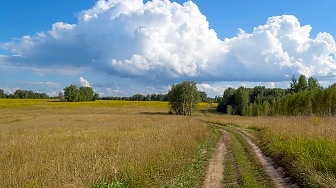America's 'Sickest Day' Linked to Late August Weather Patterns