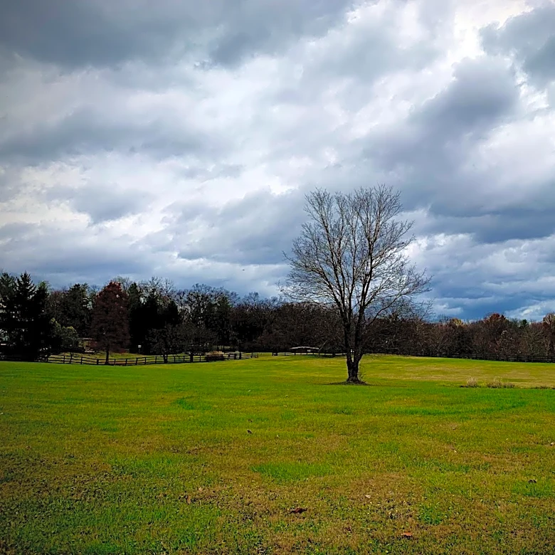 Fall Weather Transition Brings Sun, Storms, and Humidity to Syracuse
