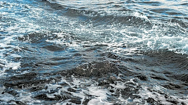 Earth’s Oceans Reach Record High Temperatures Amid El Niño