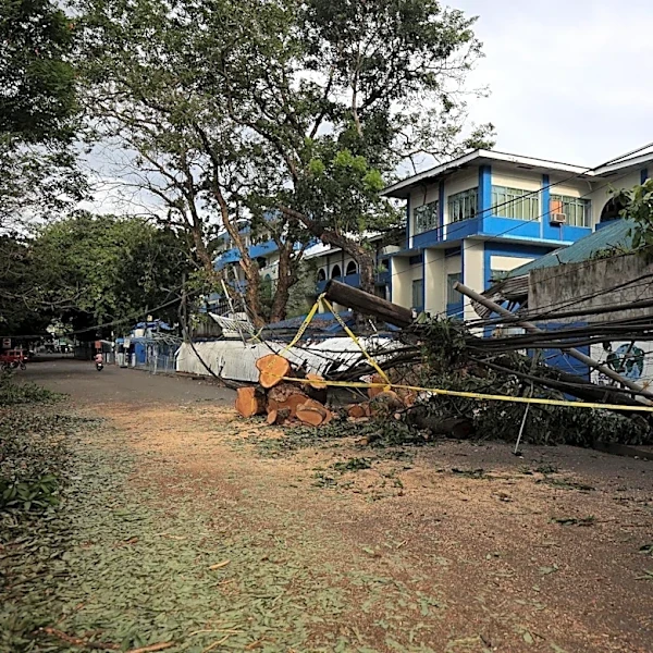 Oahu Residents Seek Cleanup Assistance After Storm Lala