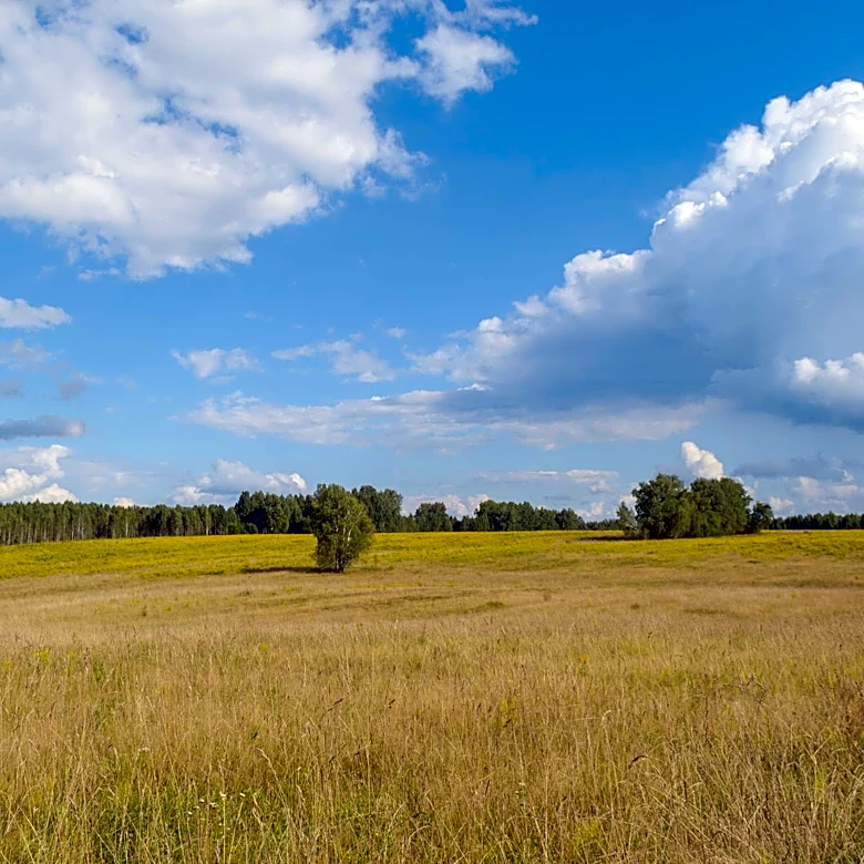 Pleasant Weather to Start Final Week of August in Southern Wisconsin