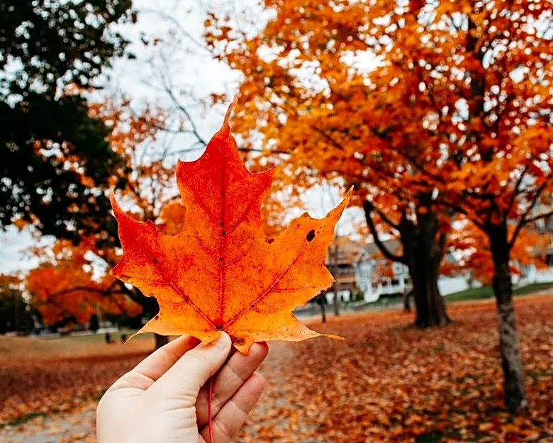 A Taste of Fall Arrives in the Midwest & Northeast