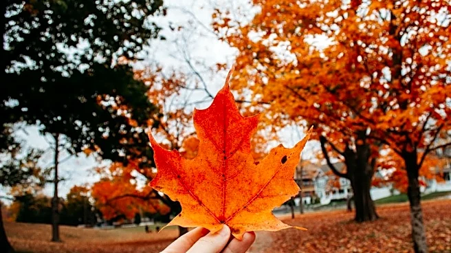 A Taste of Fall Arrives in the Midwest & Northeast