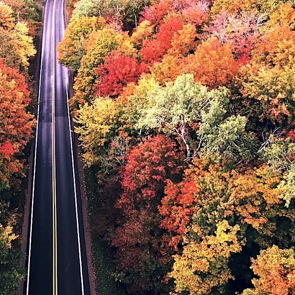El Niño to Bring Warmer Fall, Reduced Snowfall in West Michigan